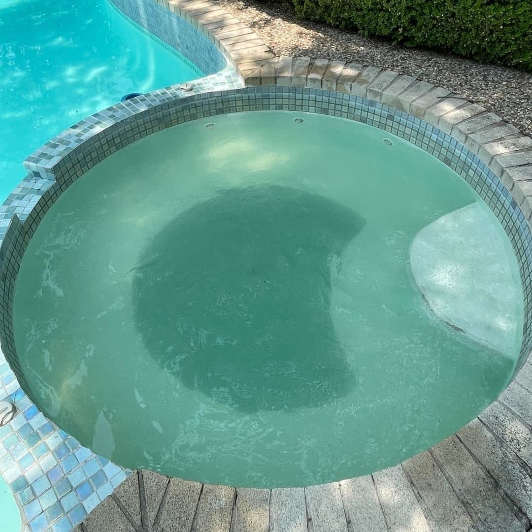 Professional pool services